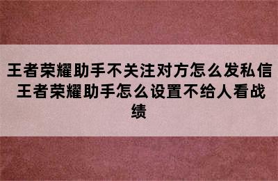 王者荣耀助手不关注对方怎么发私信 王者荣耀助手怎么设置不给人看战绩